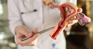 Branderig gevoel vagina: De vulva is het uitwendige gedeelte en de vagina het inwendige gedeelte van het vrouwelijke geslchtsorgaan.